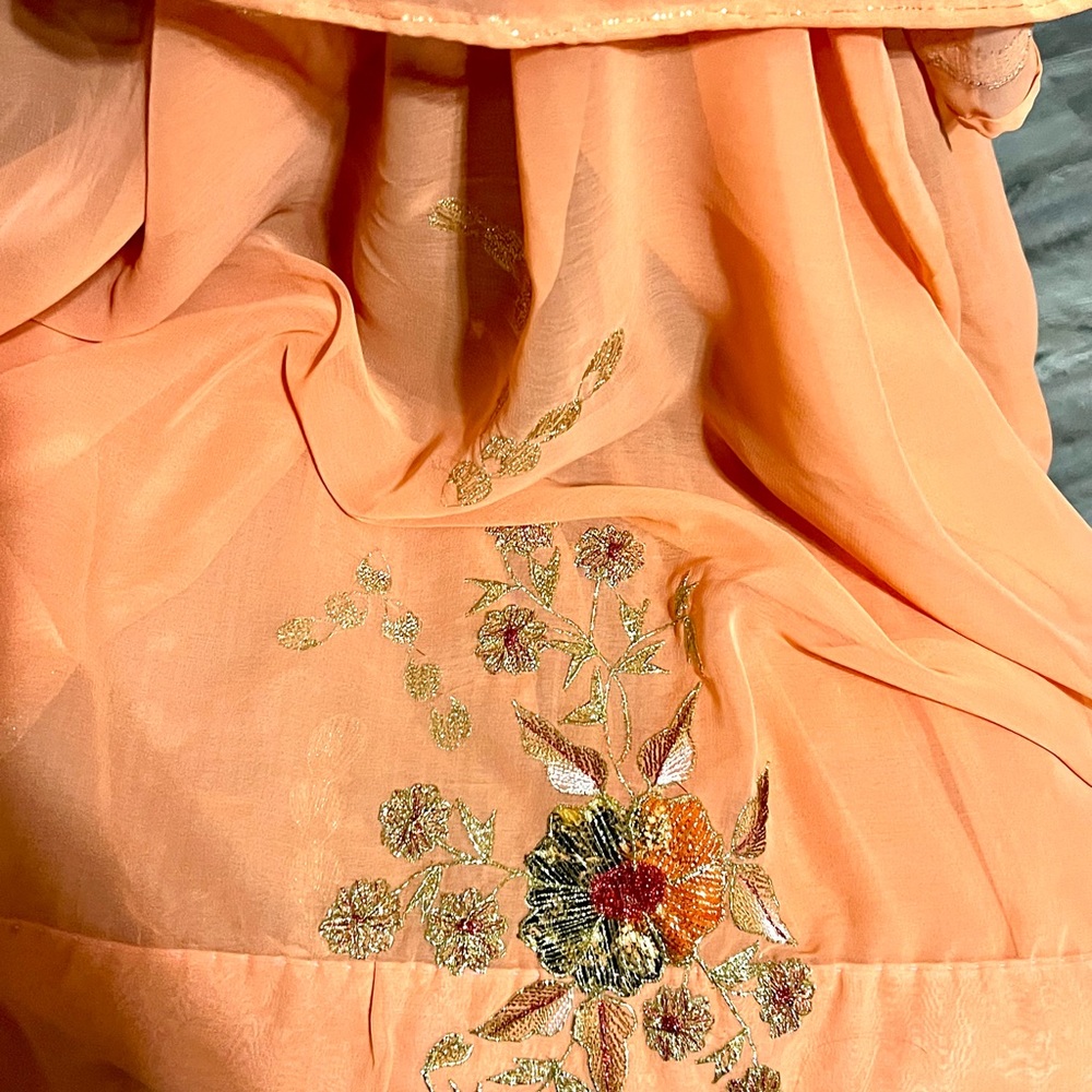 Sari Blouse - image 6